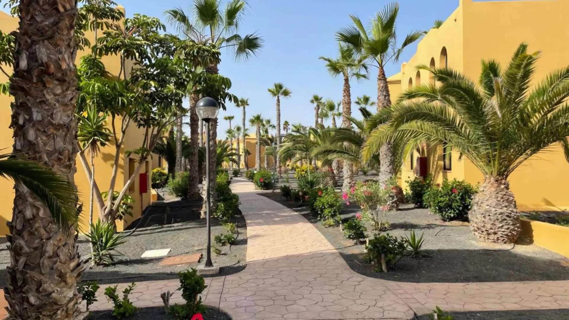 Casa Perseo - Oasis Papagayo Lejlighedshotel Corralejo
